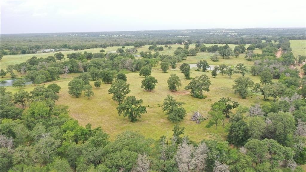 186.79 acres in Milam County - photo 10