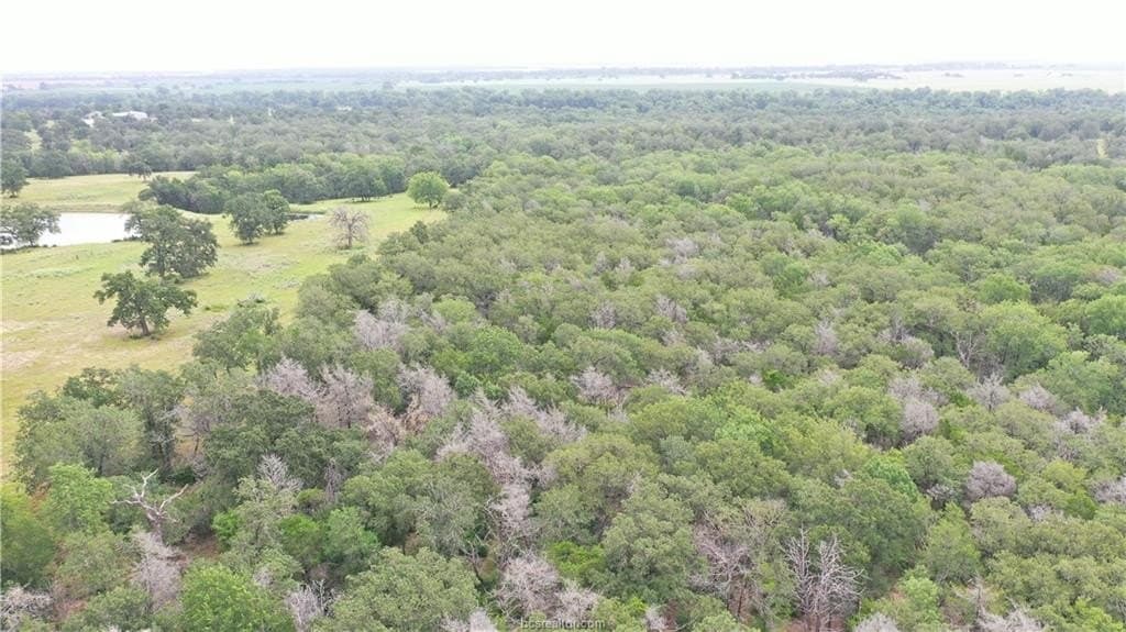 186.79 acres in Milam County - photo 19