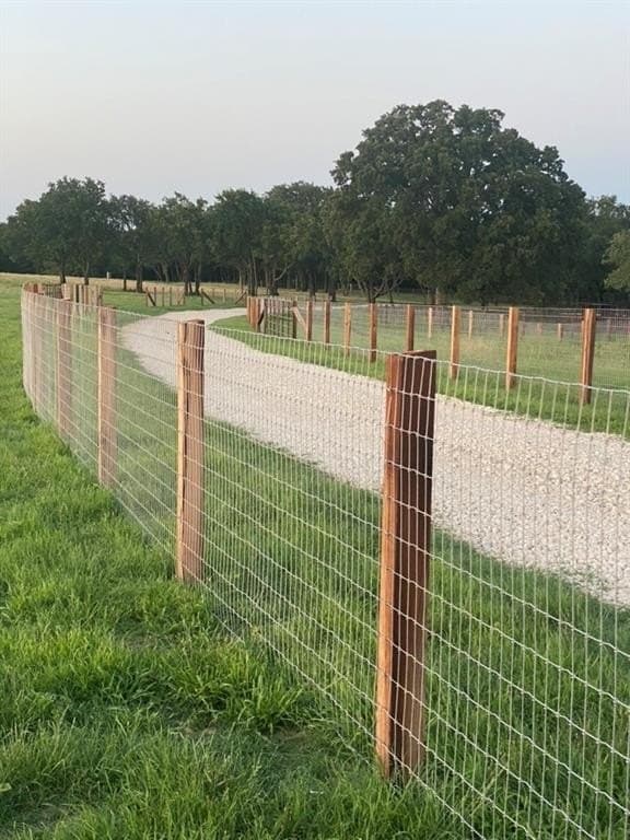 38.99 acres in Cooke County gallery image 2