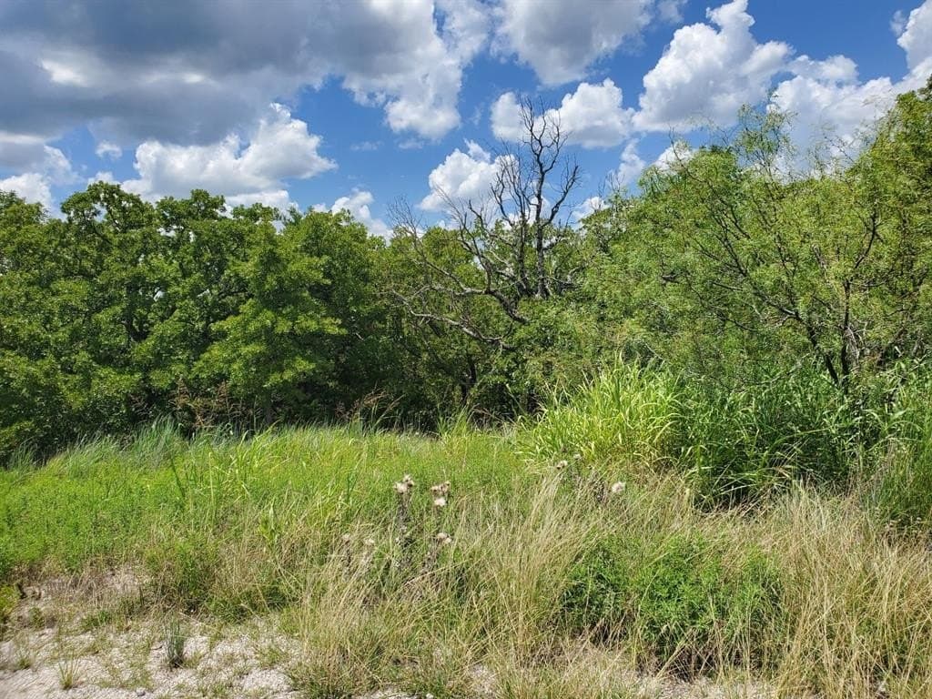 2.01 acres in Montague County gallery image 3