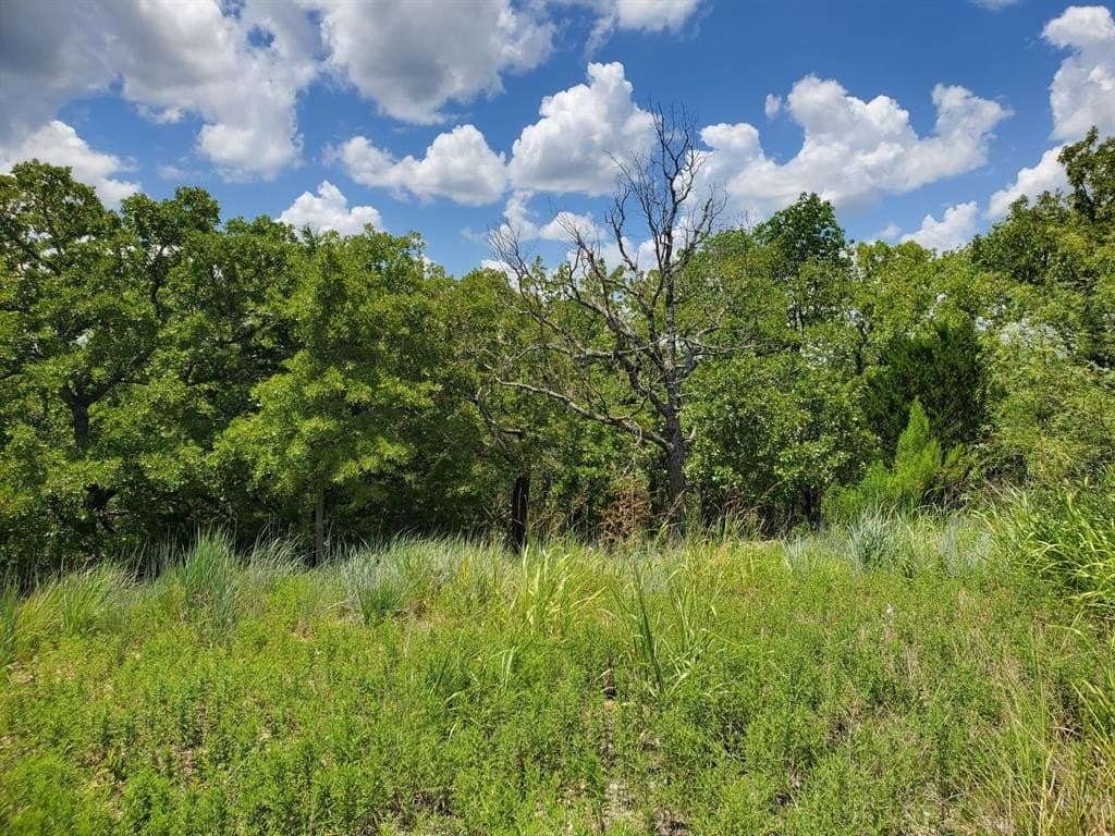 2.01 acres in Montague County gallery image 4