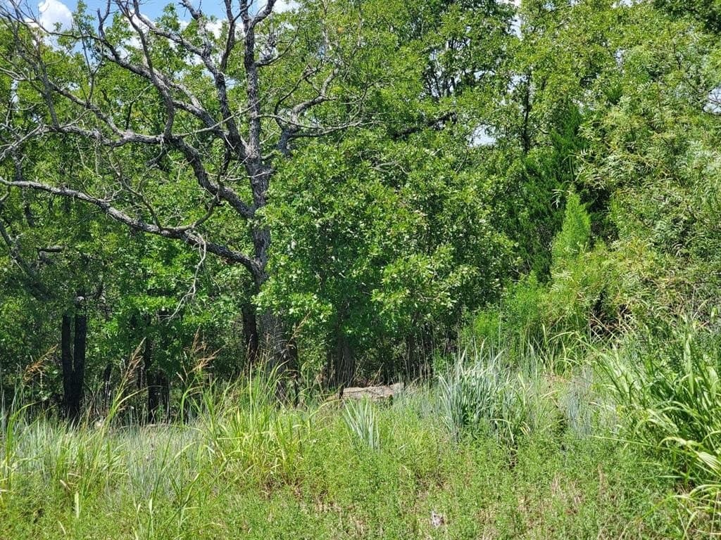 2.01 acres in Montague County gallery image 2