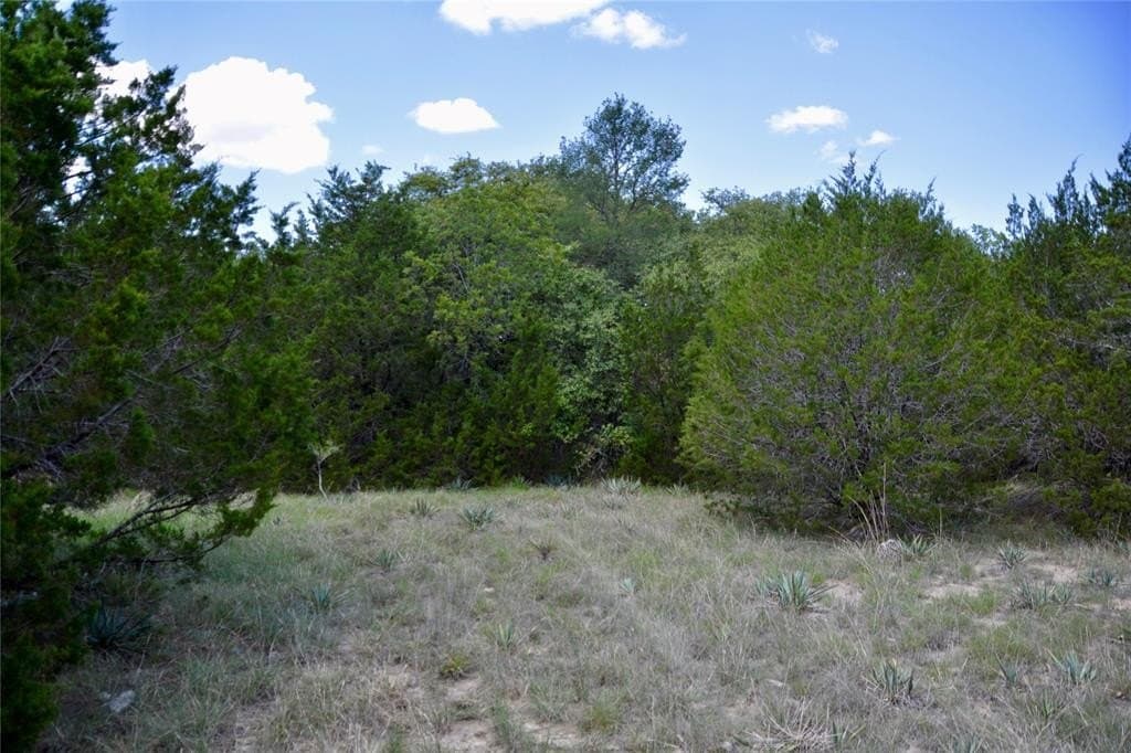 32.93 acres in Mills County gallery image 3