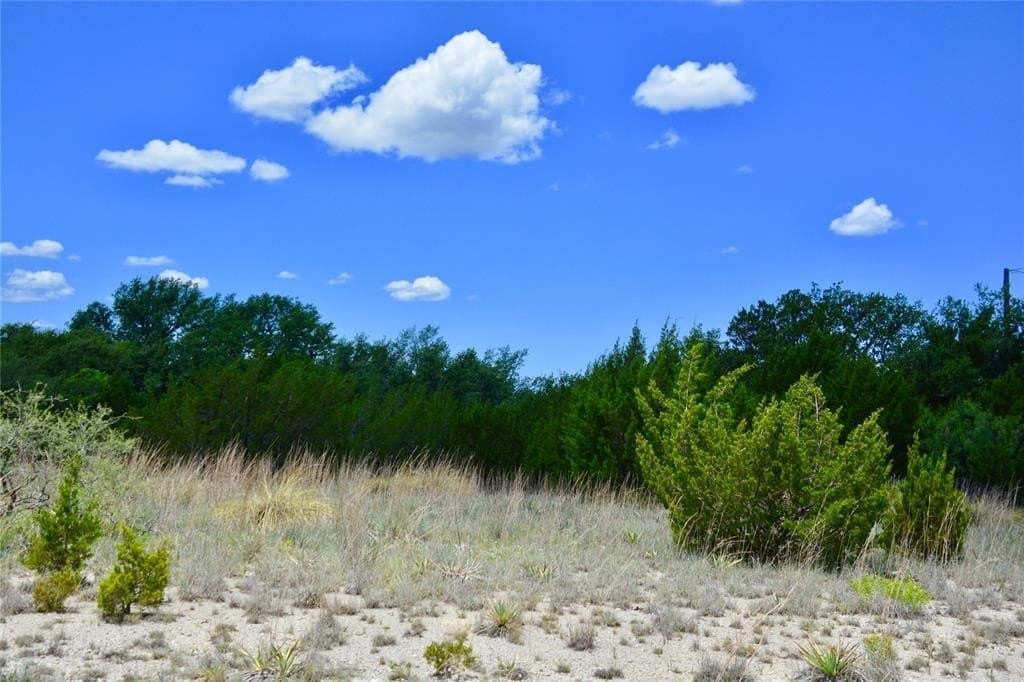 32.93 acres in Mills County gallery image 4