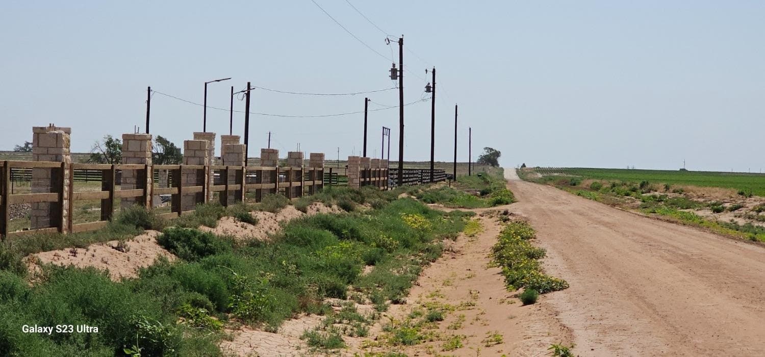 10.01 acres in Hockley County gallery image 4