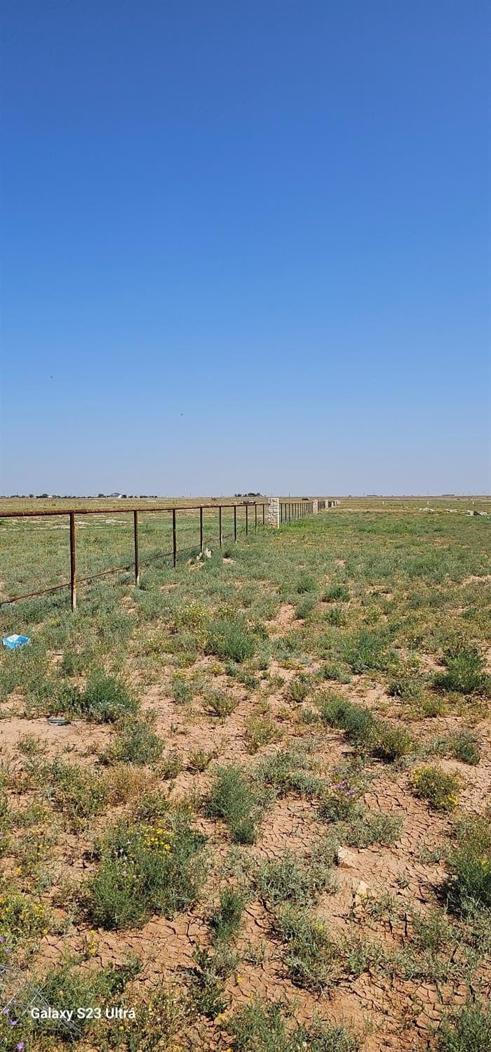 10.01 acres in Hockley County featured view