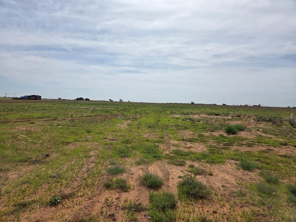 5 acres in Terry County
