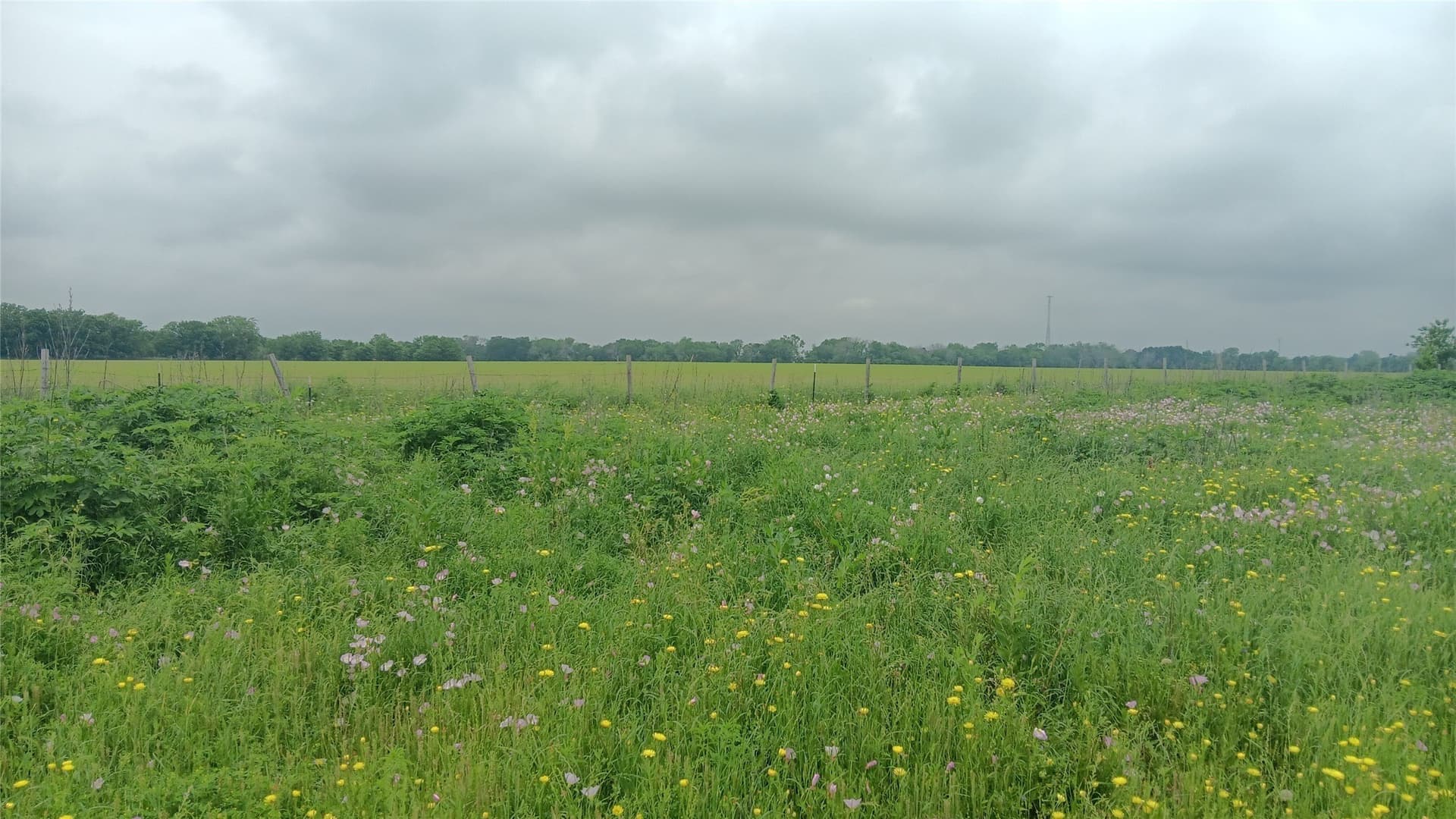 64.1 acres in Falls County