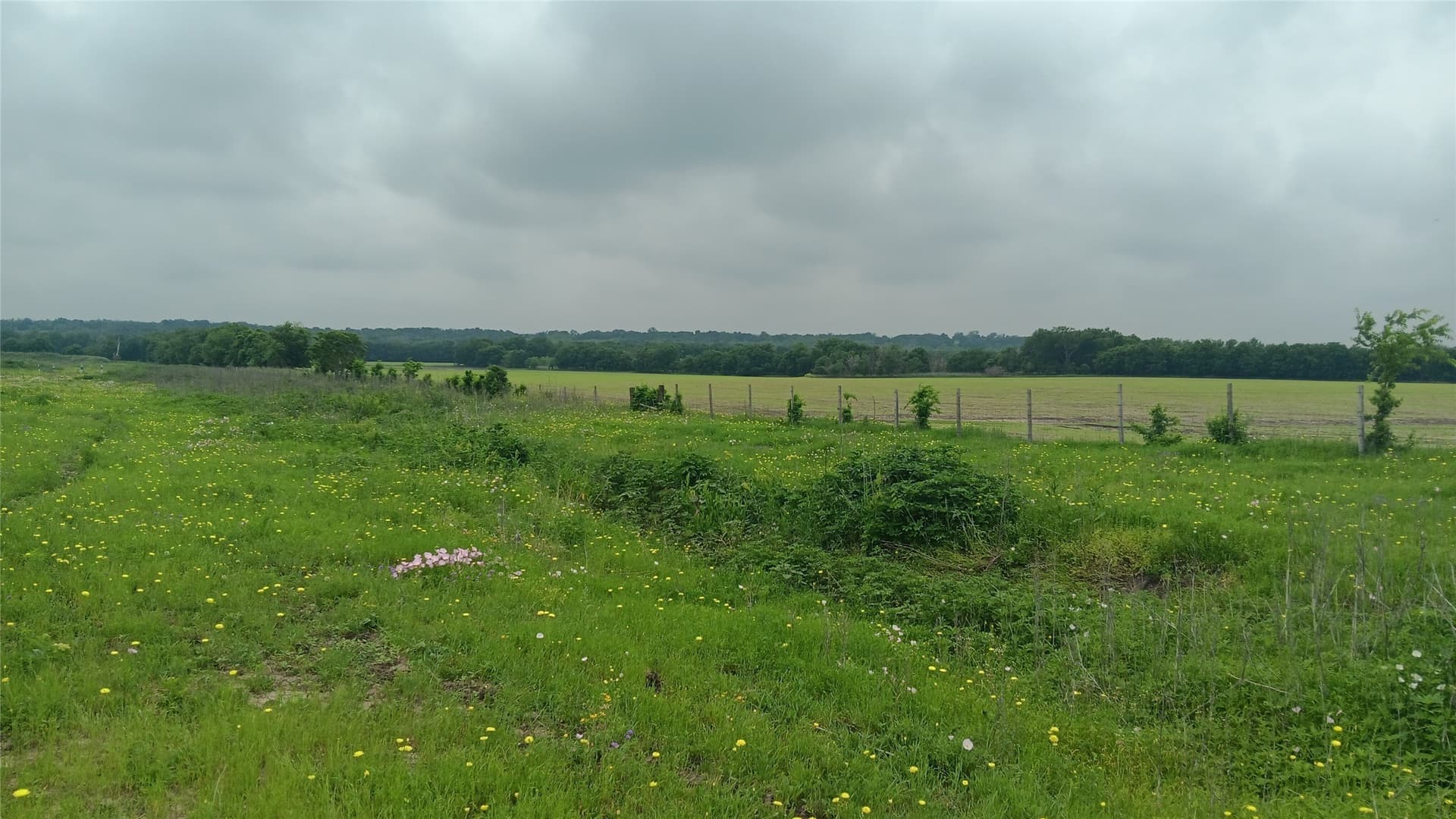 64.1 acres in Falls County - photo 14
