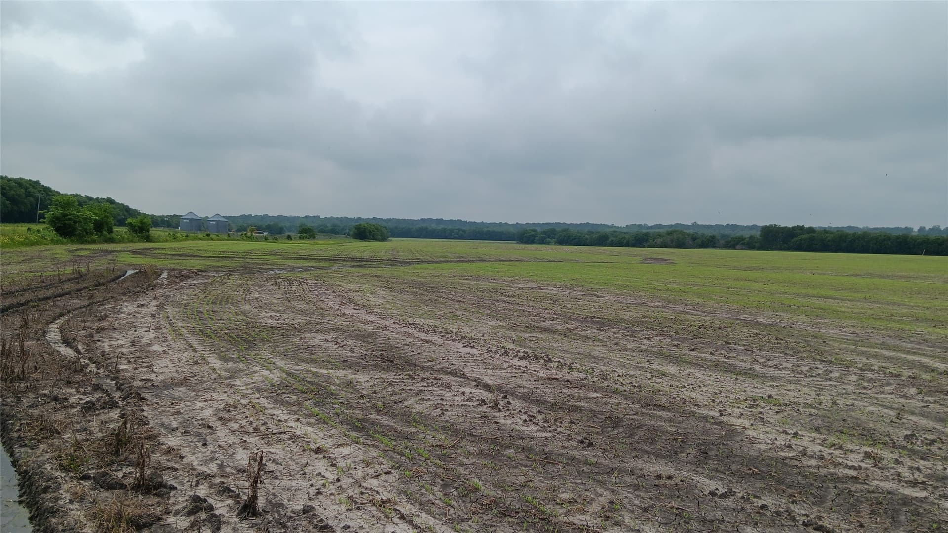 64.1 acres in Falls County - photo 10