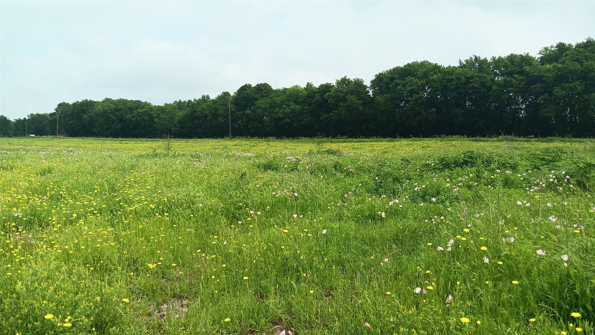 64.1 acres in Falls County - photo 16