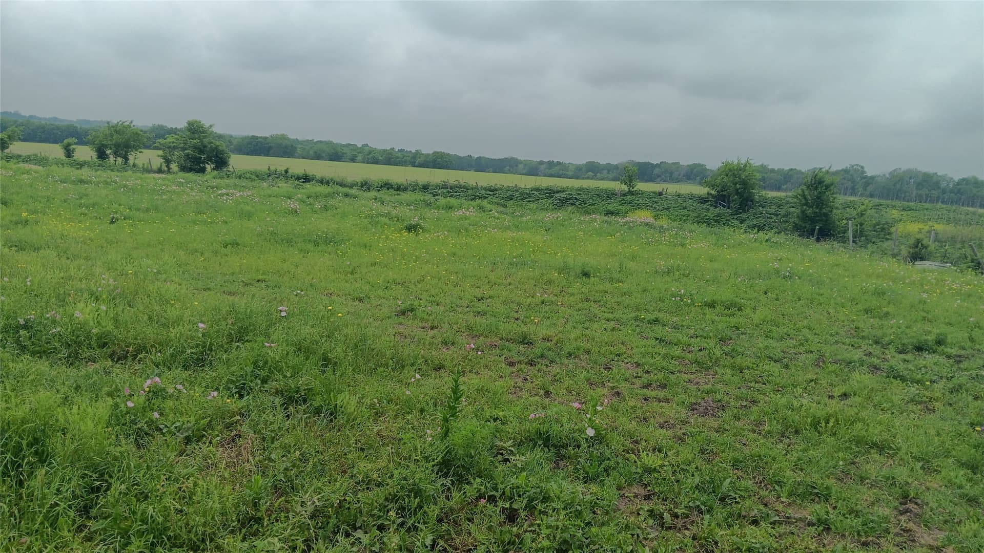 64.1 acres in Falls County - photo 13