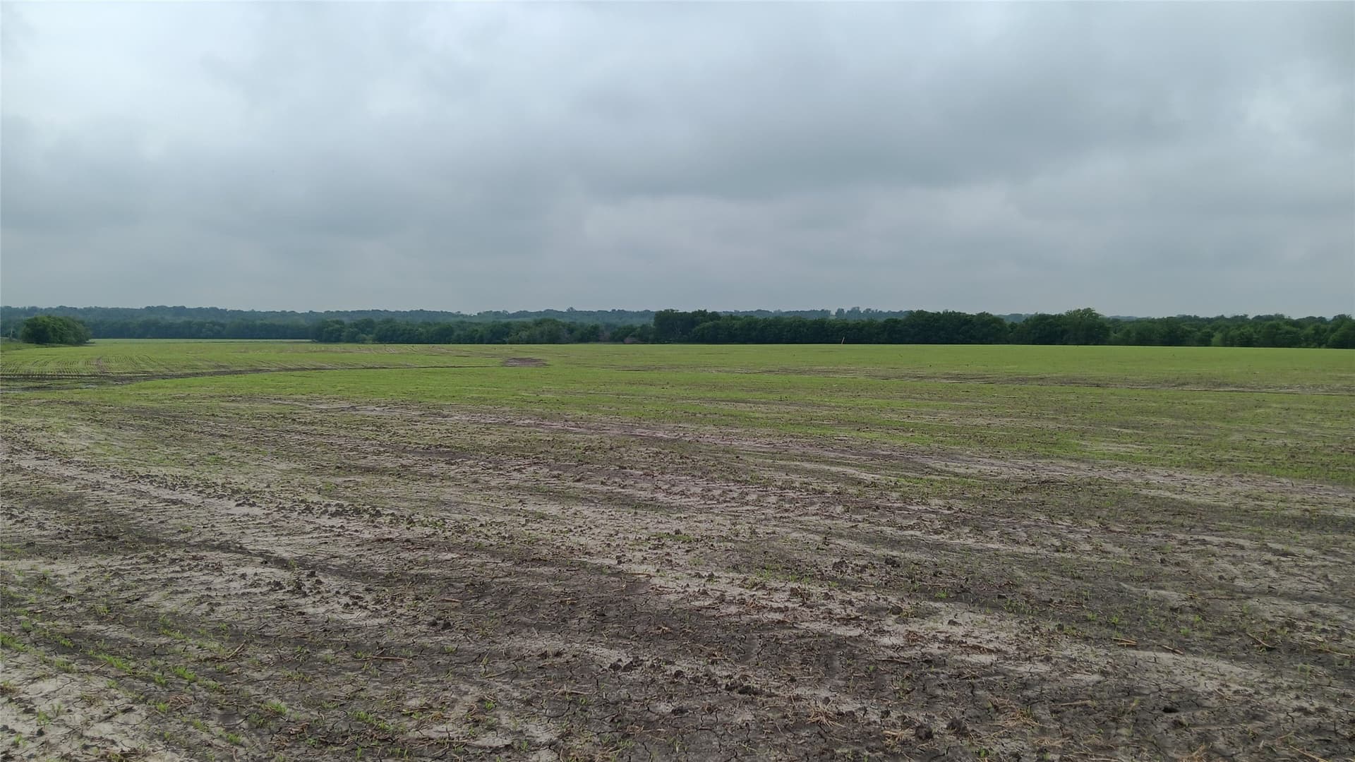 64.1 acres in Falls County - photo 9