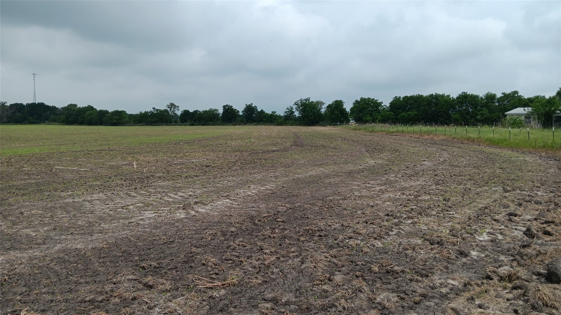 64.1 acres in Falls County - photo 12