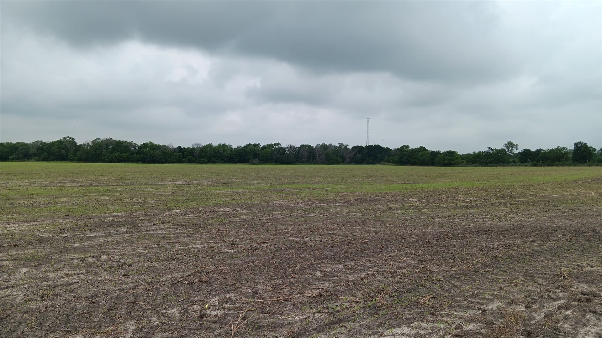 64.1 acres in Falls County - photo 11