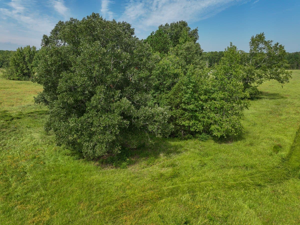 6 acres in Rusk County - photo 9