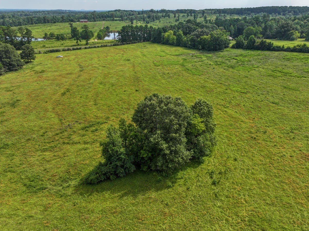 6 acres in Rusk County - photo 3