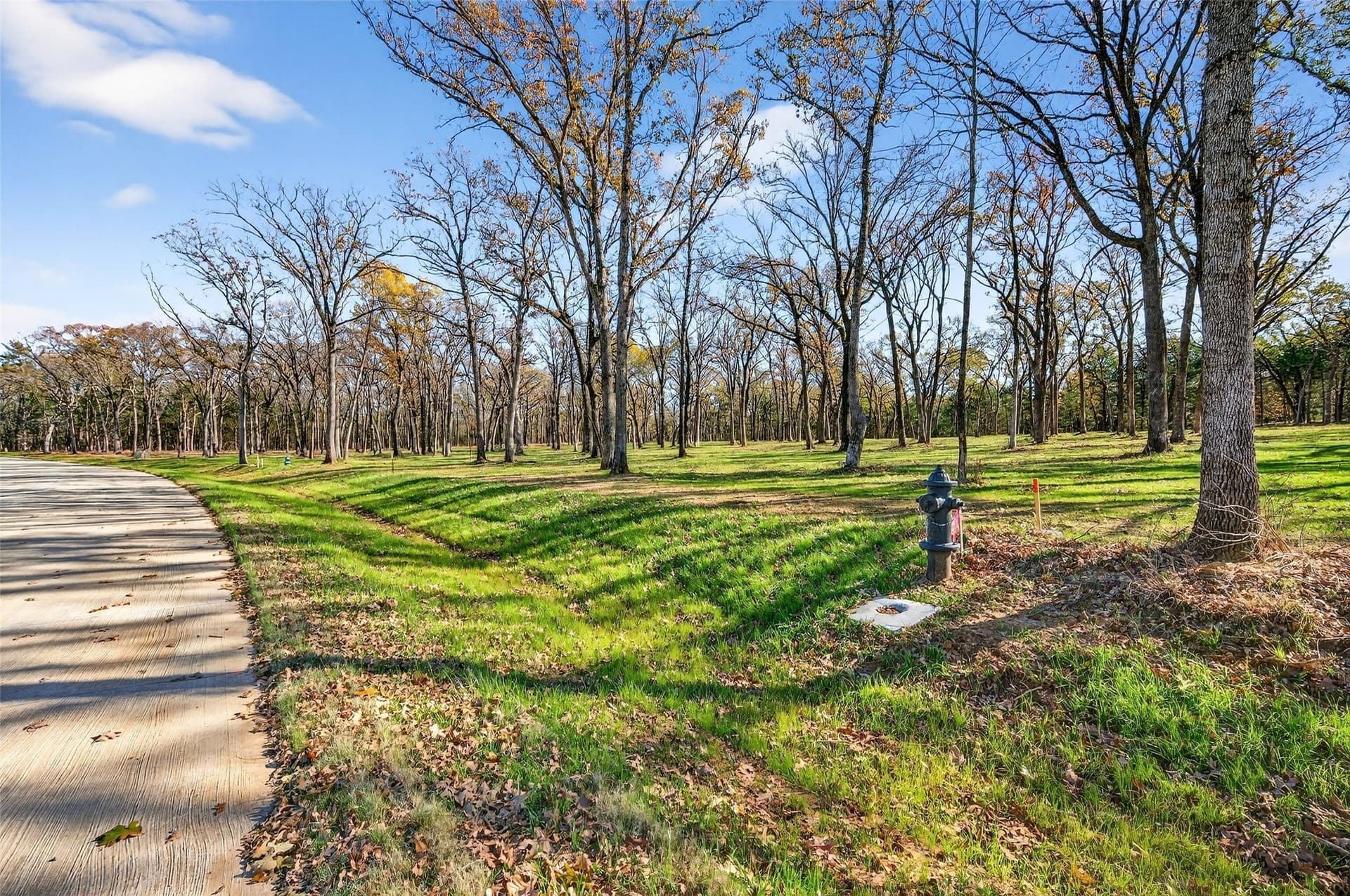 1.5 acres in Grayson County - photo 7