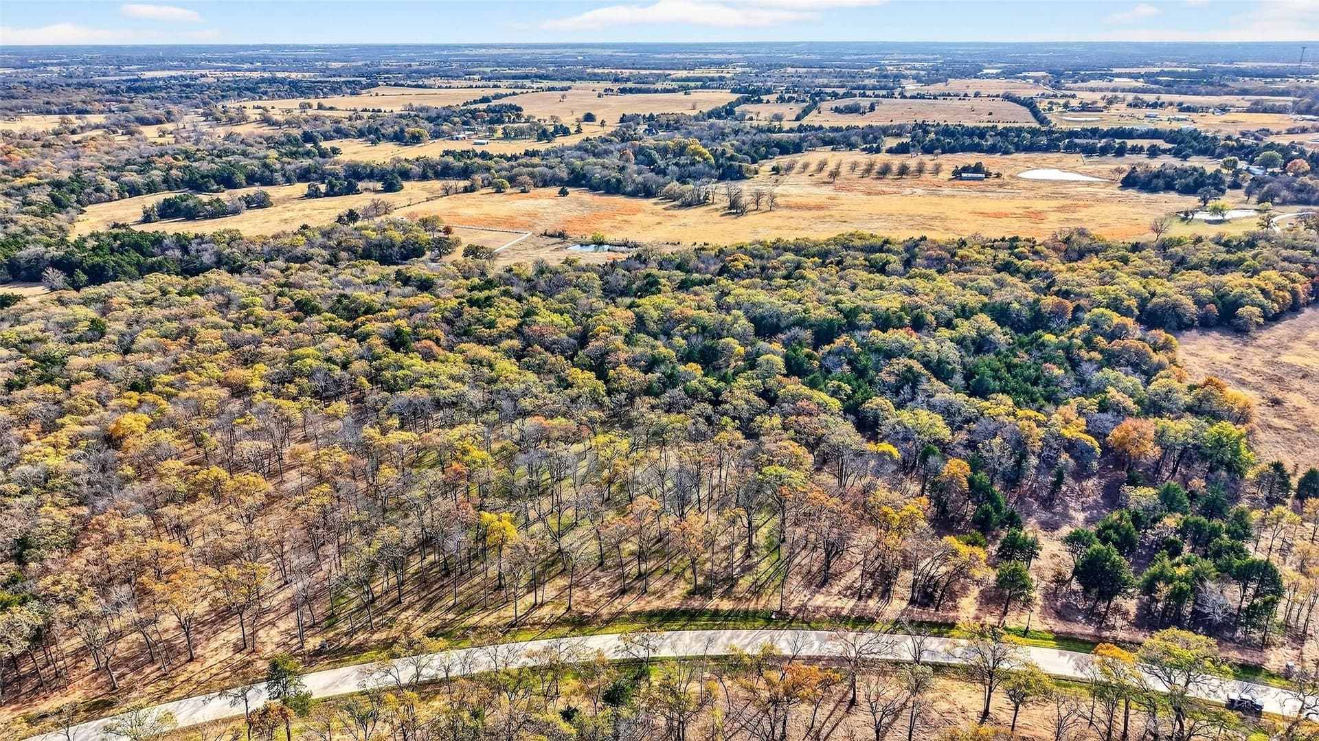 1.5 acres in Grayson County gallery image 4