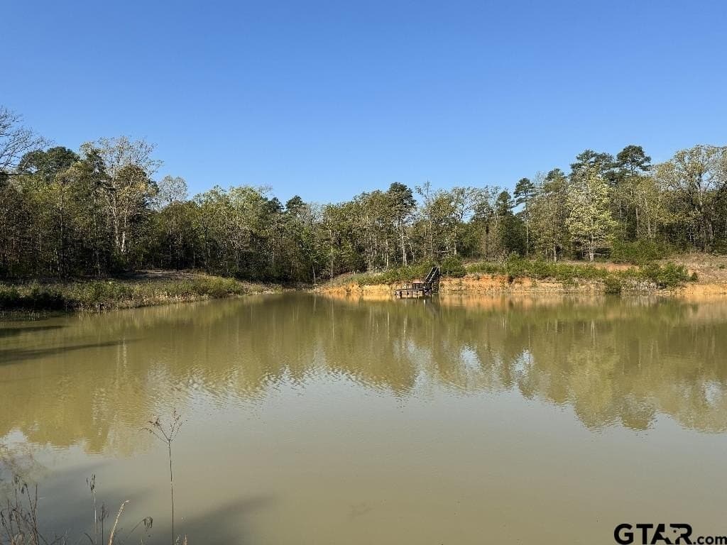 142.26 acres in Wood County gallery image 4