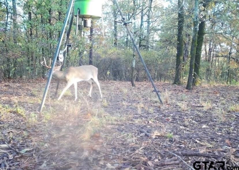 142.26 acres in Wood County