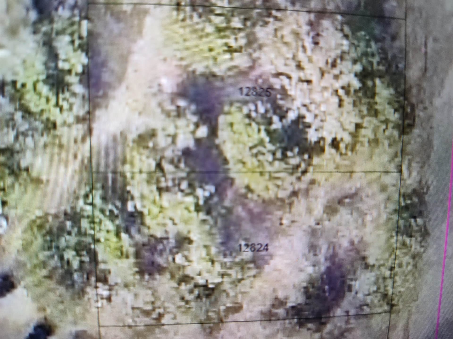 0.22 acres in Burnet County gallery image 2