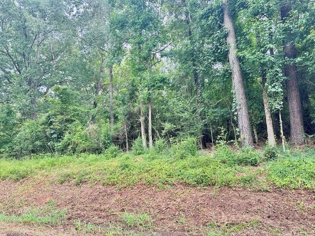 1.15 acres in Texas County gallery image 4