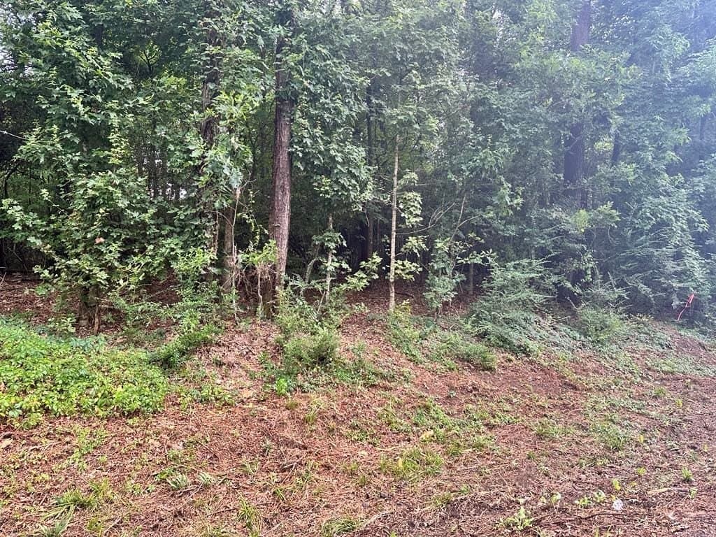 1.15 acres in Texas County featured view