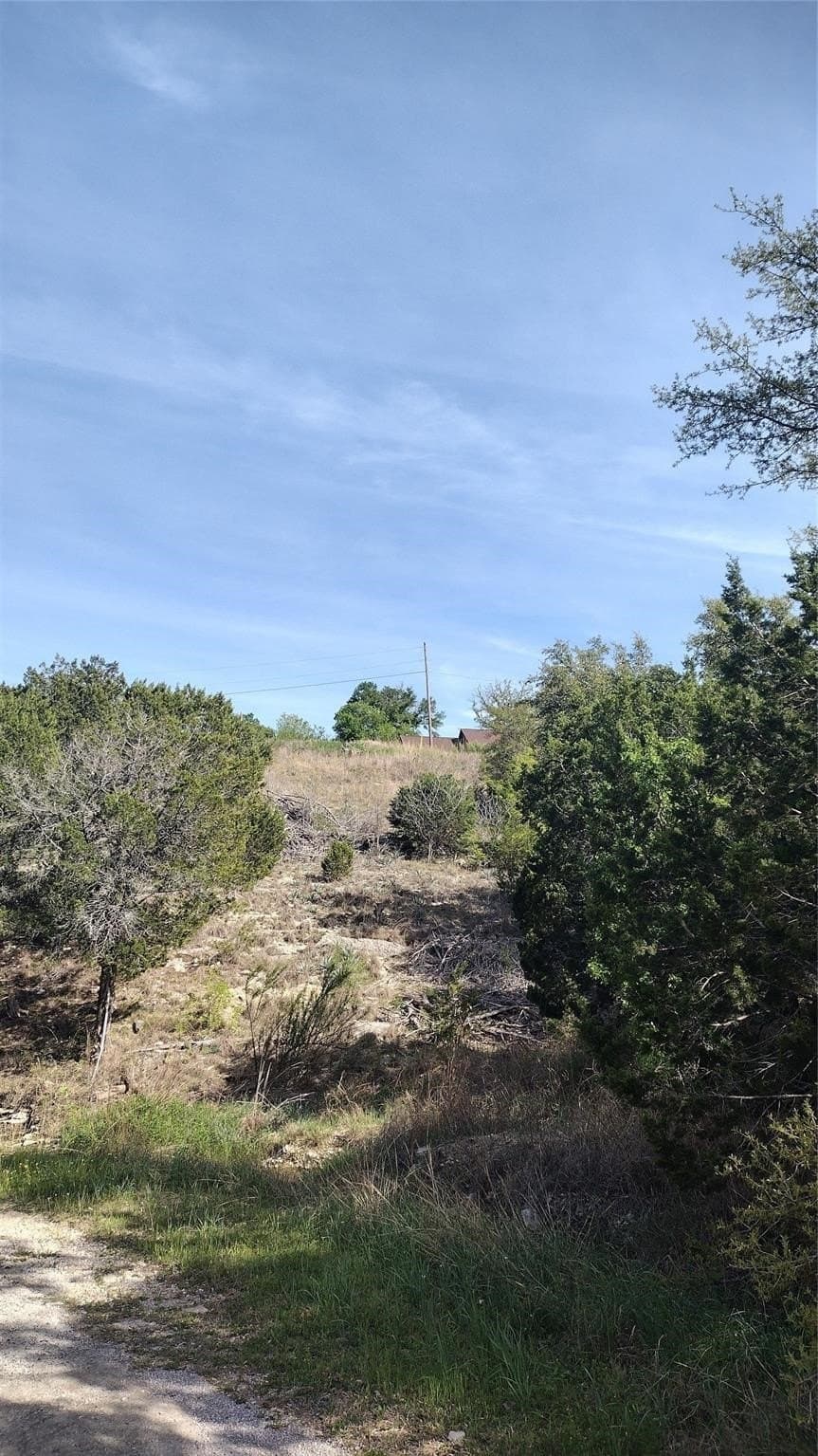 0.06 acres in Hood County - photo 3