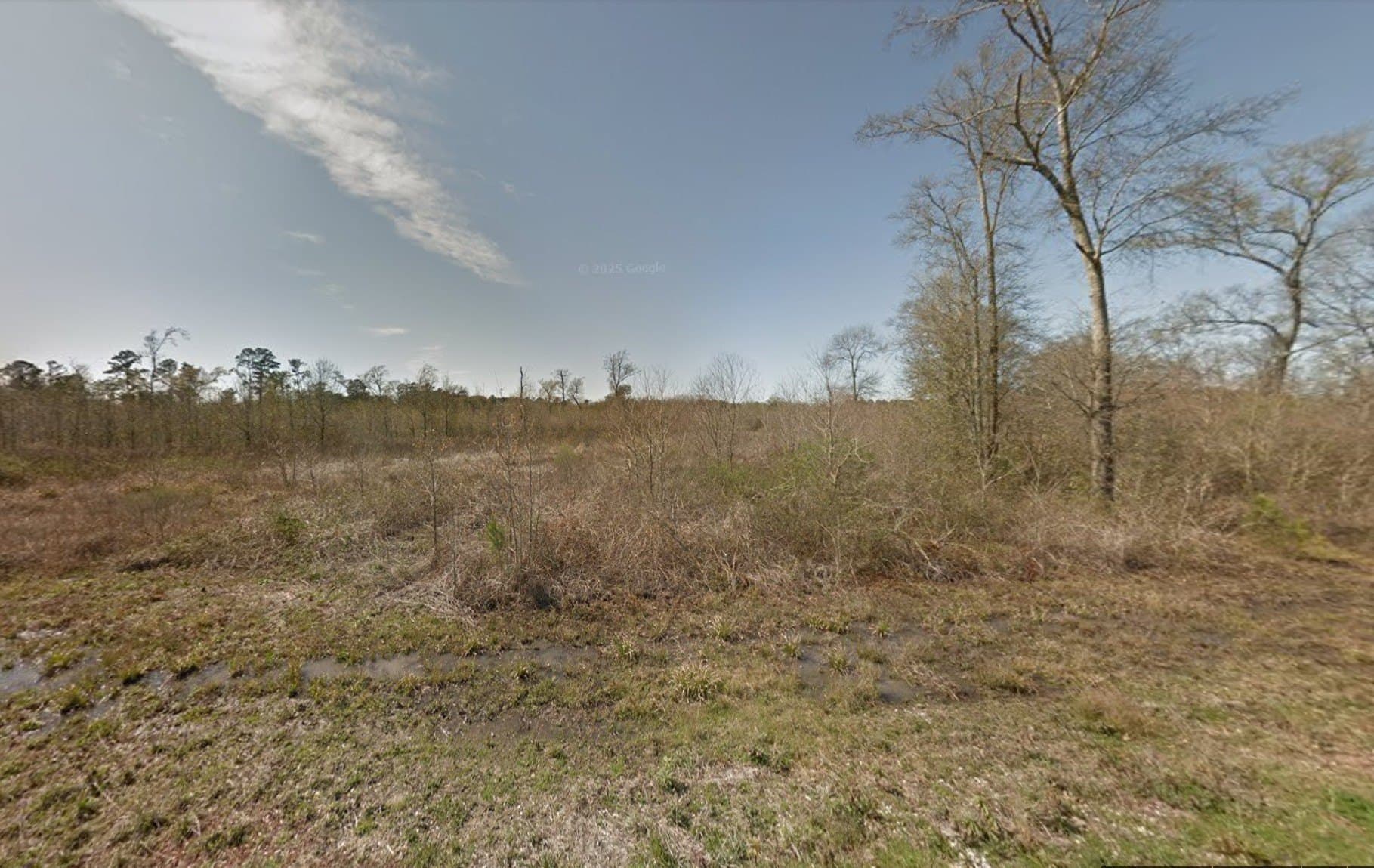 3.6 acres in Orange County - photo 3