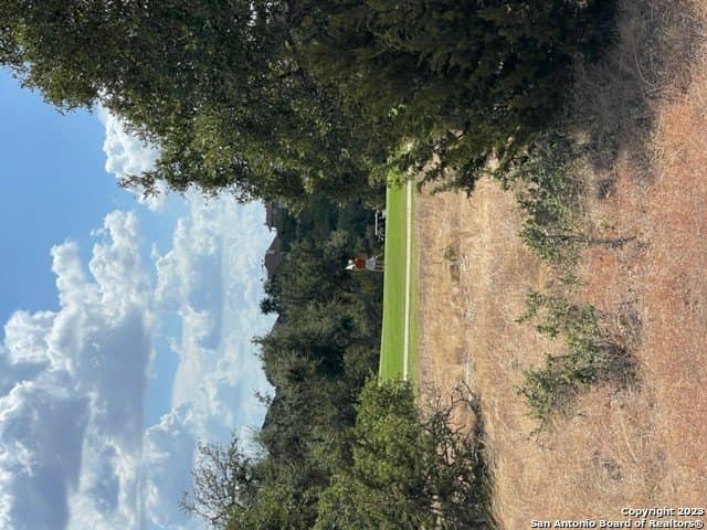 0.23 acres in Blanco County - photo 11