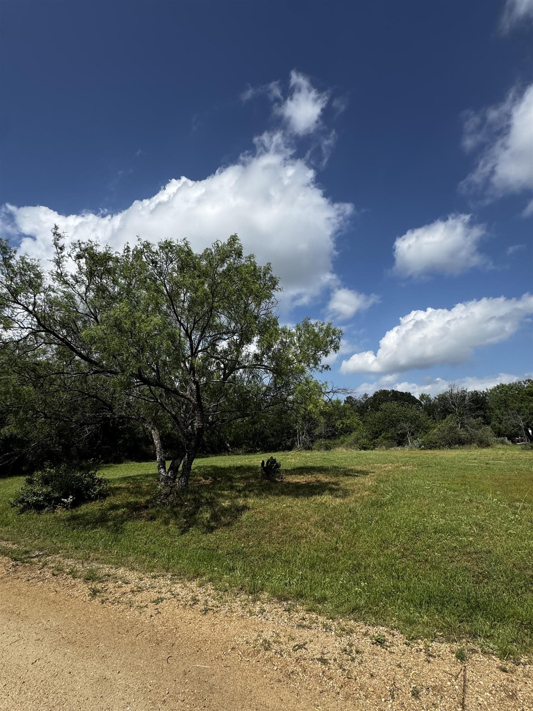 0.22 acres in Burnet County gallery image 2