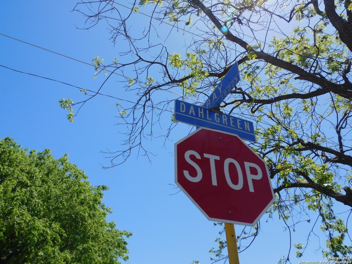 0.14 acres in Bexar County - photo 19