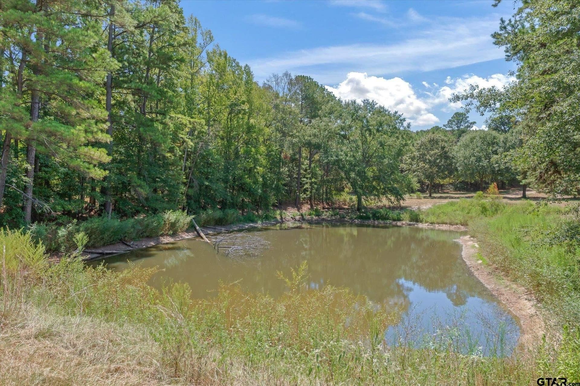 16.8 acres in Upshur County - photo 6