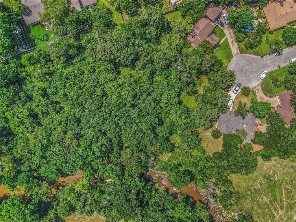 0.24 acres in Brazos County gallery image 4