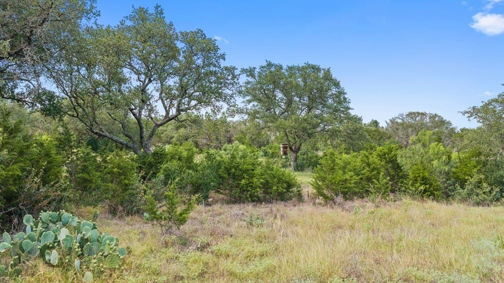 19 acres in Blanco County - photo 28