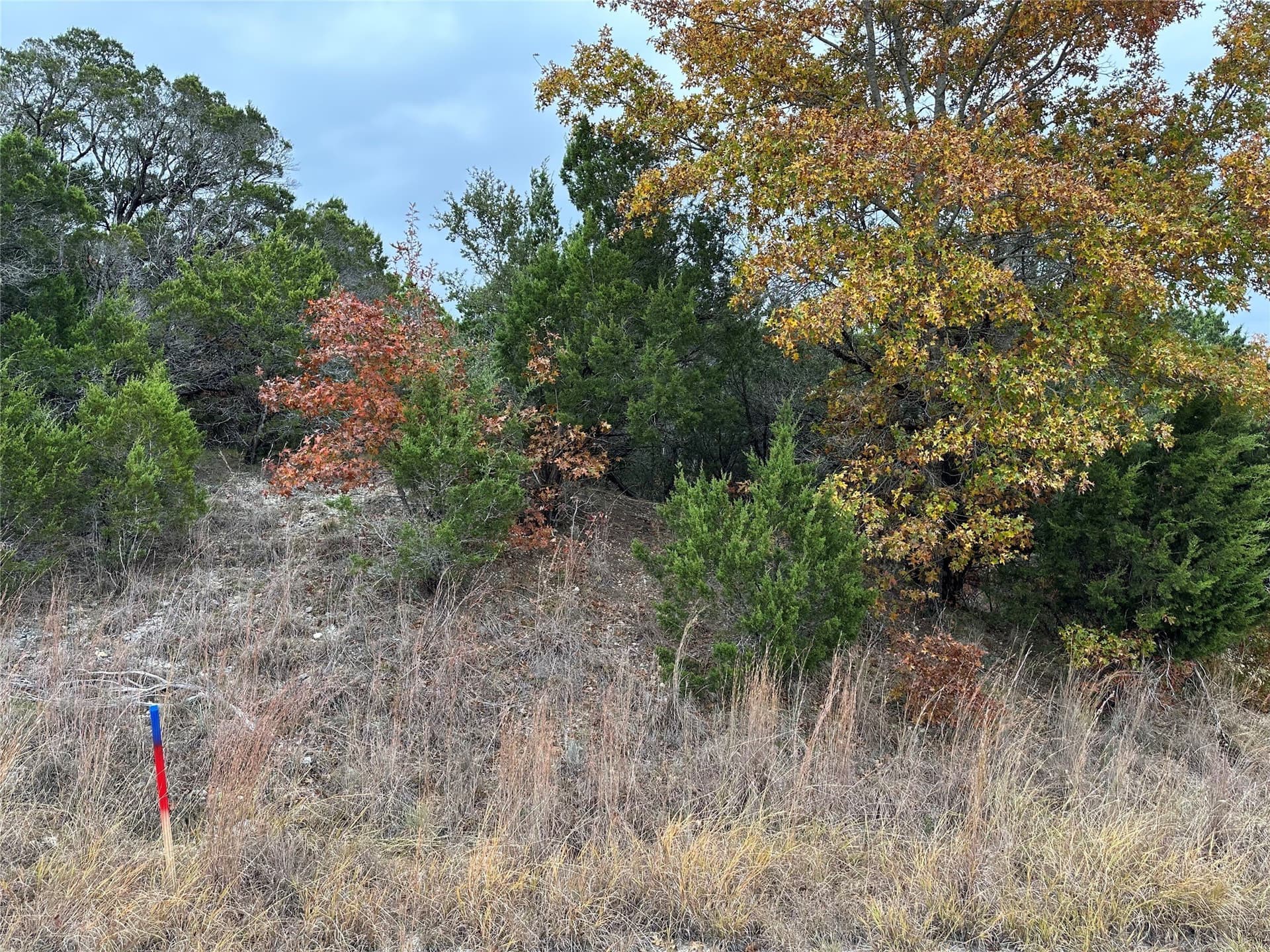 0.41 acres in Johnson County - photo 2