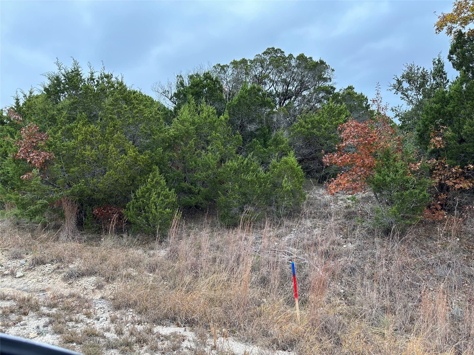 0.41 acres in Johnson County