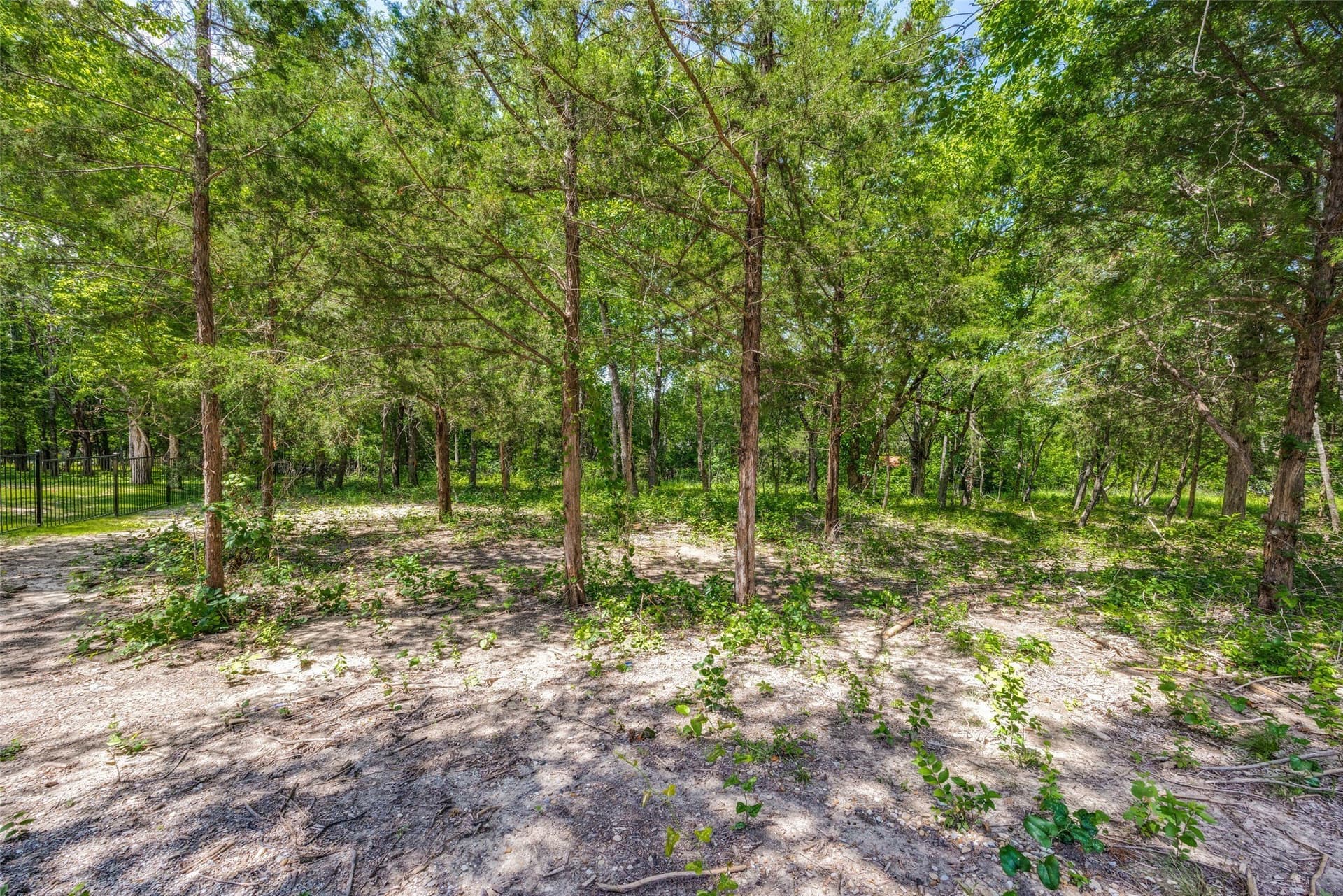 1.03 acres in Grayson County - photo 8