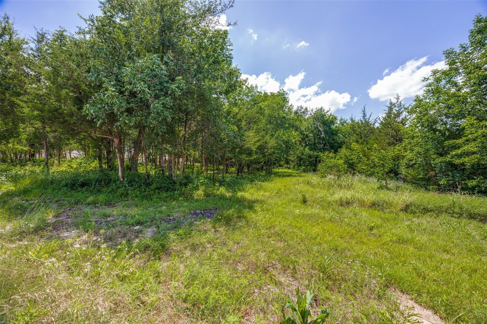 1.03 acres in Grayson County featured view