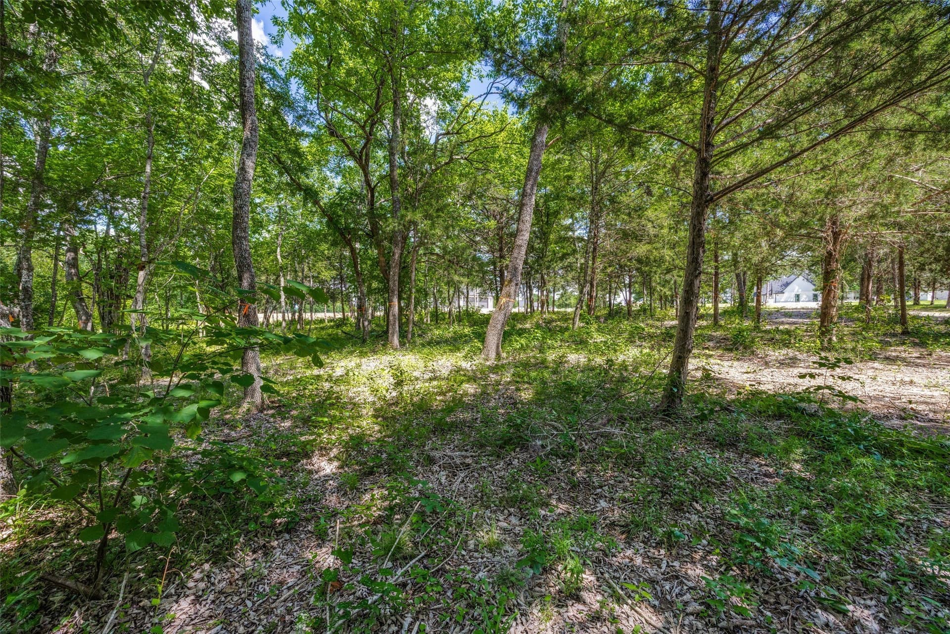1.03 acres in Grayson County gallery image 3