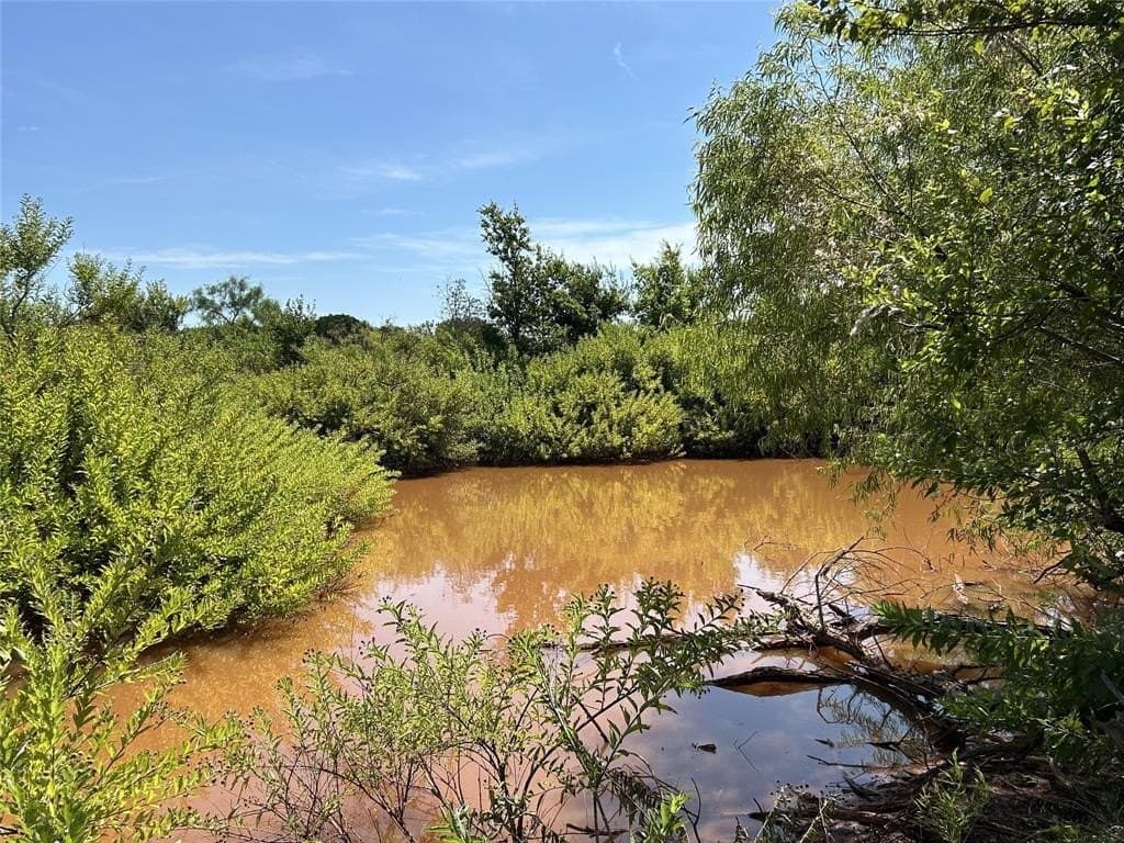 11.3 acres in Taylor County gallery image 2