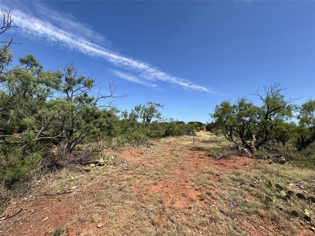 11.3 acres in Taylor County featured view