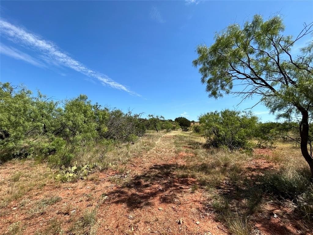 11.3 acres in Taylor County gallery image 3