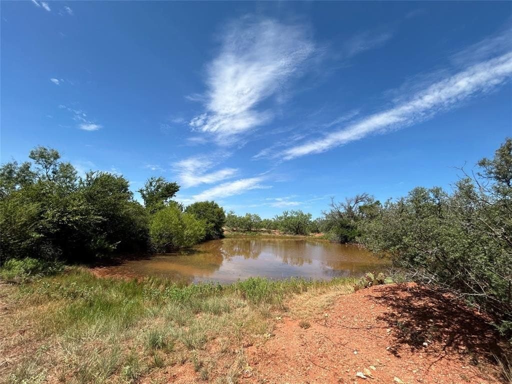 11.3 acres in Taylor County gallery image 4