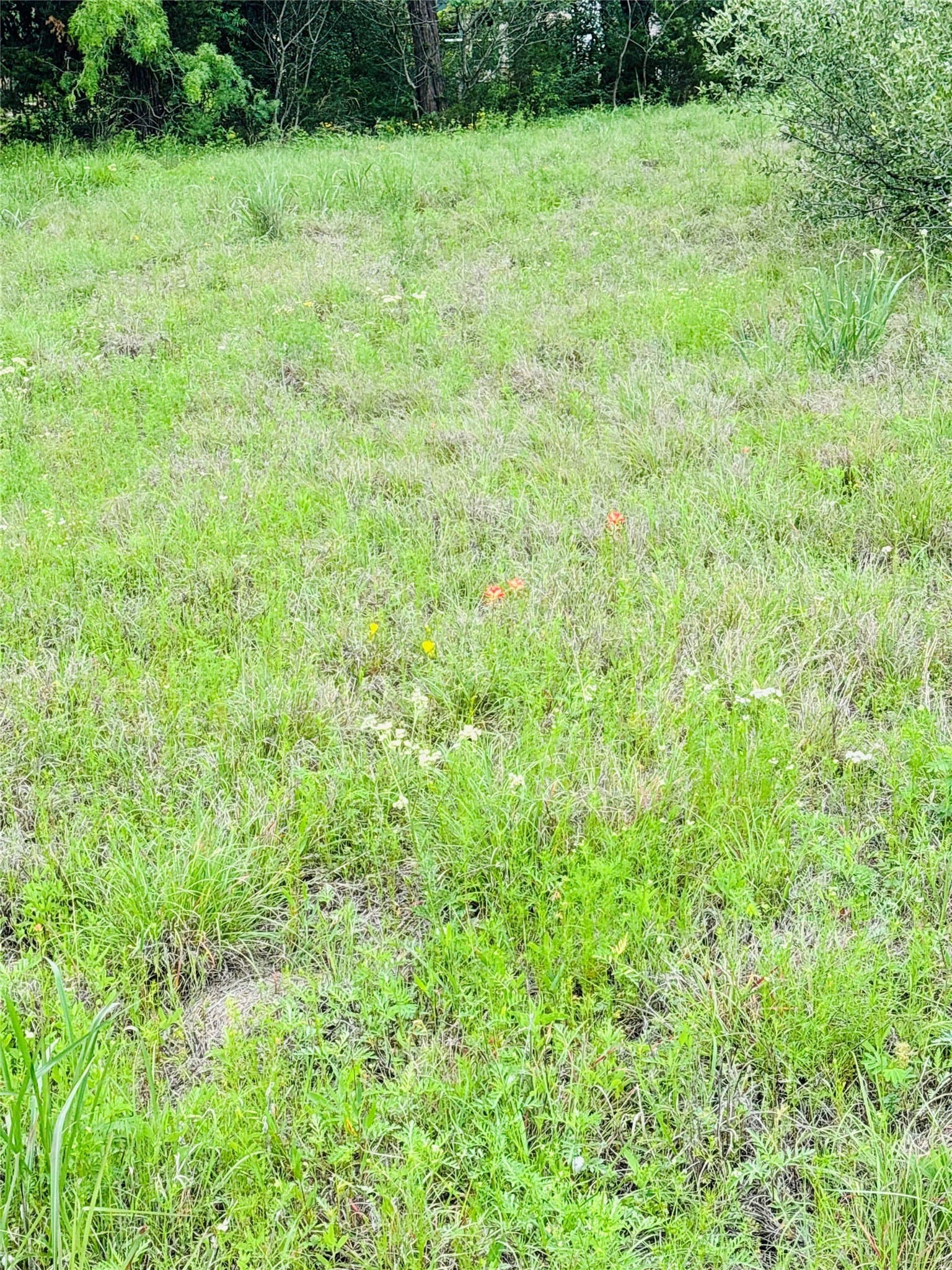 0.25 acres in Johnson County gallery image 2
