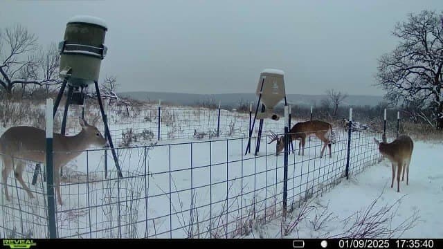 23.75 acres in Jack County - photo 3