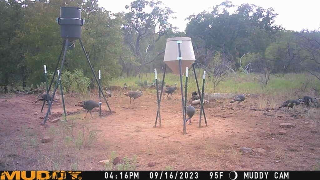 23.75 acres in Jack County - photo 5