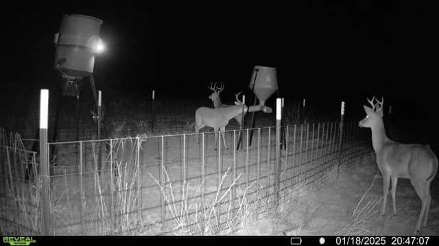 23.75 acres in Jack County - photo 4