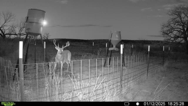23.75 acres in Jack County